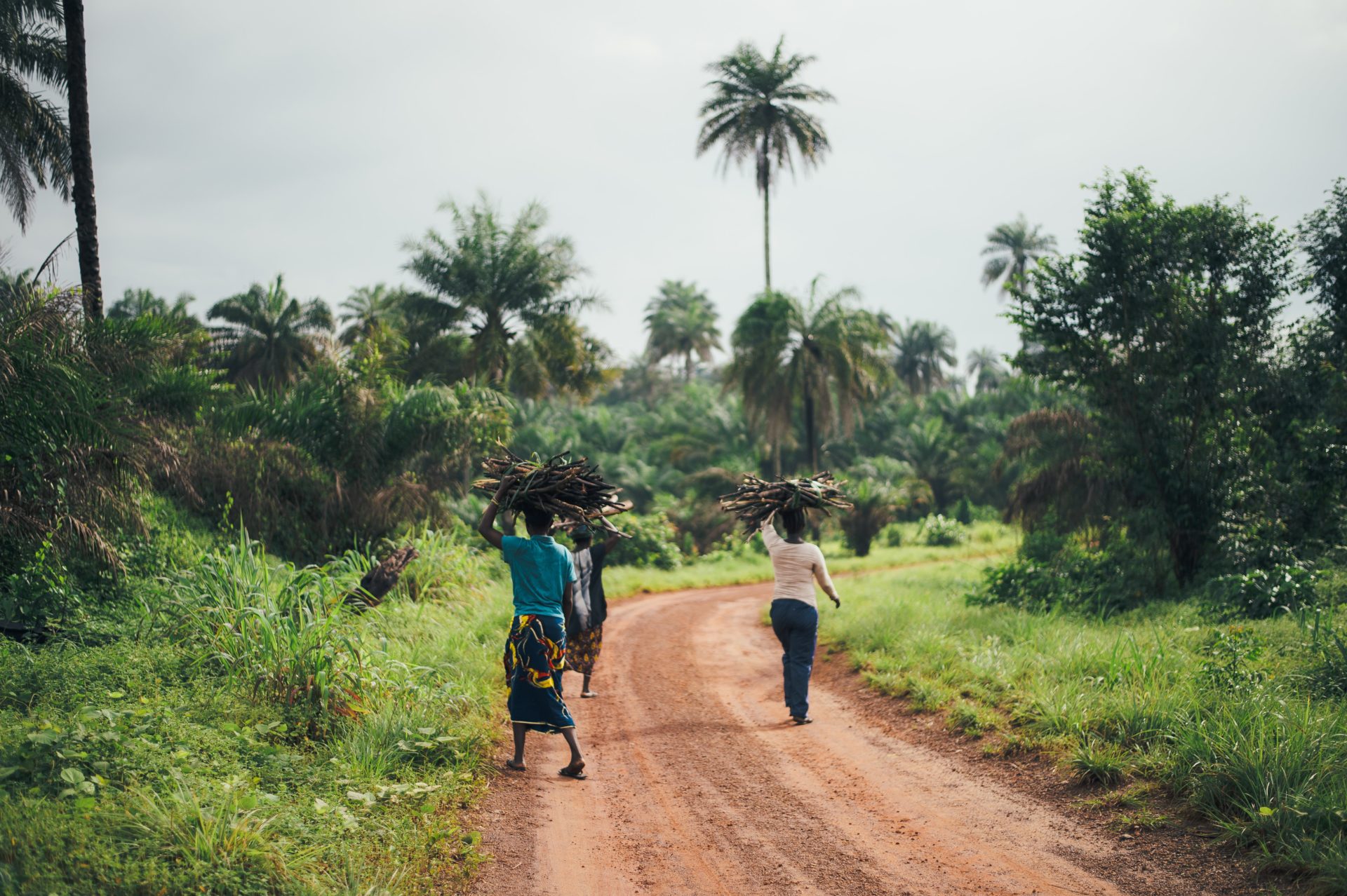 https://test.horasis.org/wp-content/uploads/annie-spratt-wtk4VH8EU20-unsplash-1.jpg